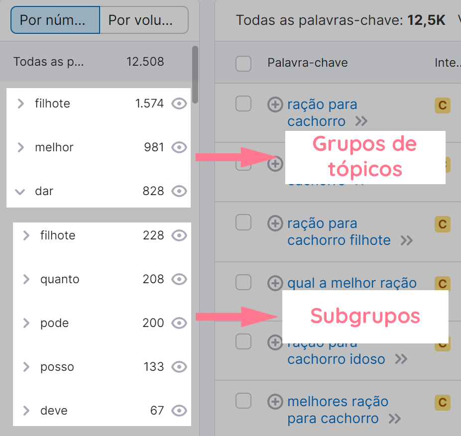 grupos e subggrupos de tópicos na ferramenta keyword magic tool