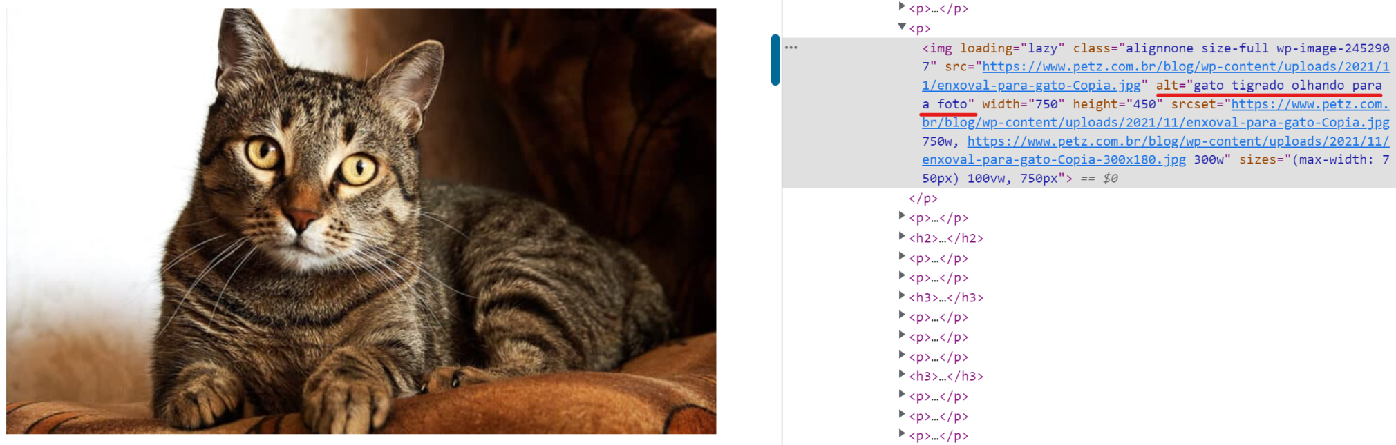 imagem no site com alt texto em destaque no html