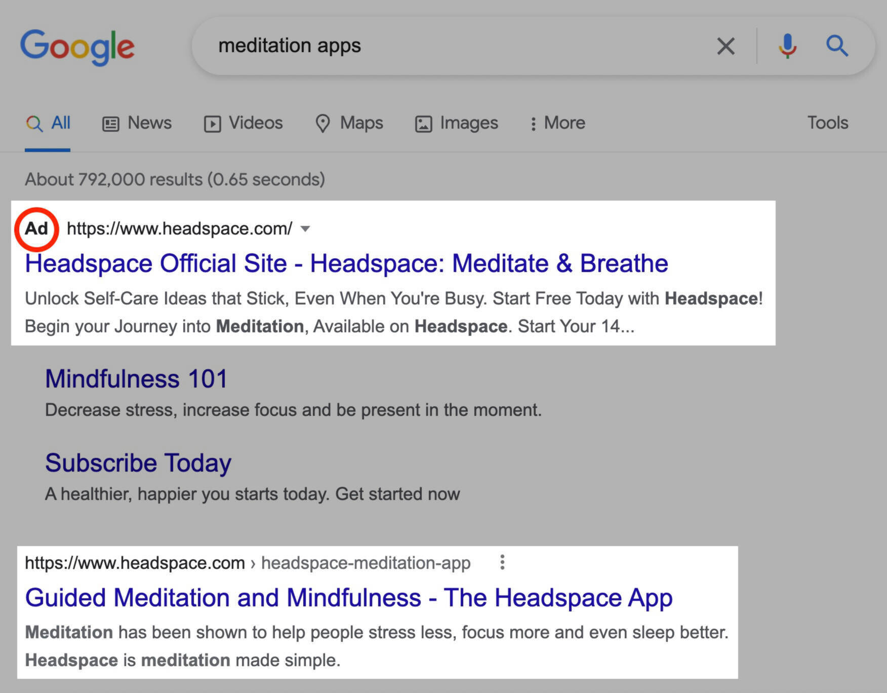 search engine marketing - exemplo serp