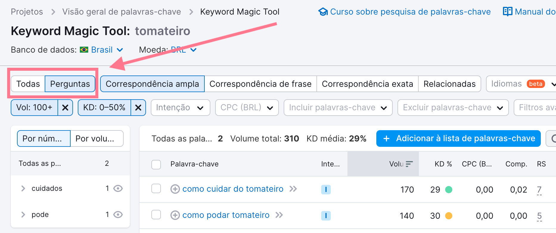 filtro de perguntas - keyword magic tool