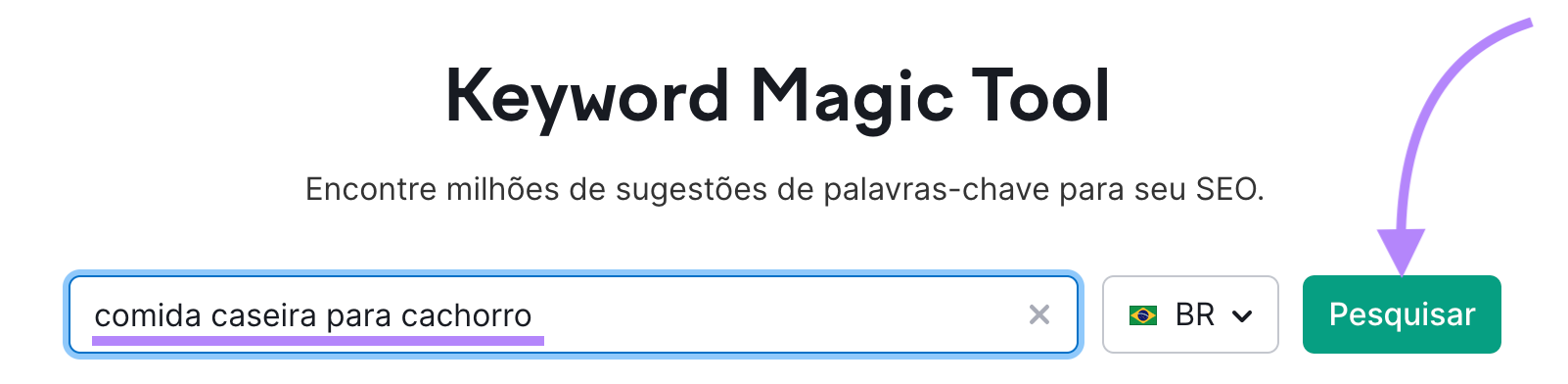 pesquisando palavra-chave inicial na keyword magic tool